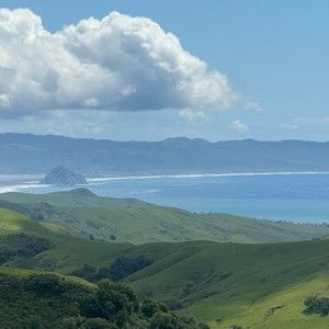 Meet your Posher, Kandy